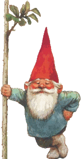 Gnome