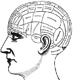 Mind Works
