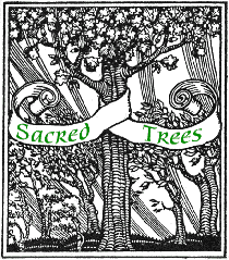 Dryad - Sacred Tree