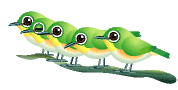 chickadee_row_ani.gif 