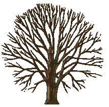 tree_bark_changing_ani.gif 
(214 x 212 x 256) (54206 bytes)